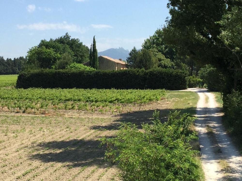 Gasthof Mas Du Clos De L'escarrat Jonquieres (Vaucluse)
